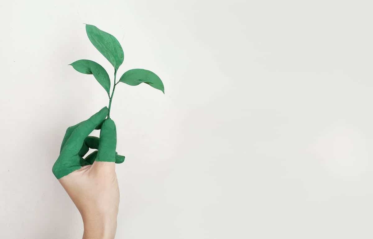 immobilier écologique
