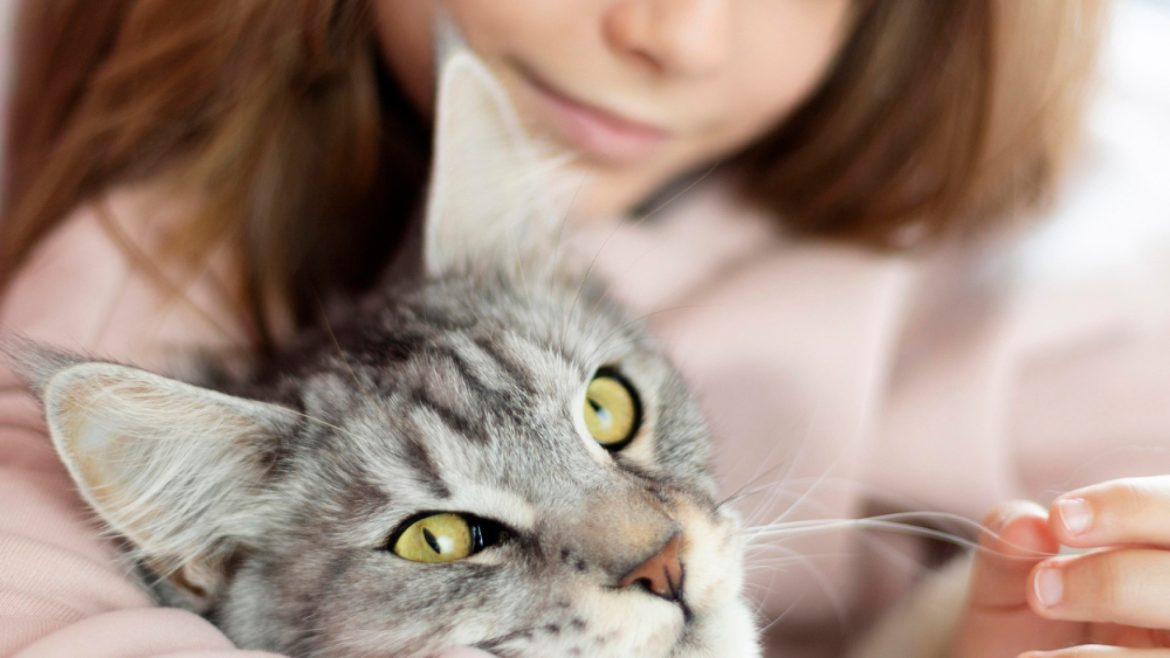 Assurance pour chat : les garanties essentielles à considérer